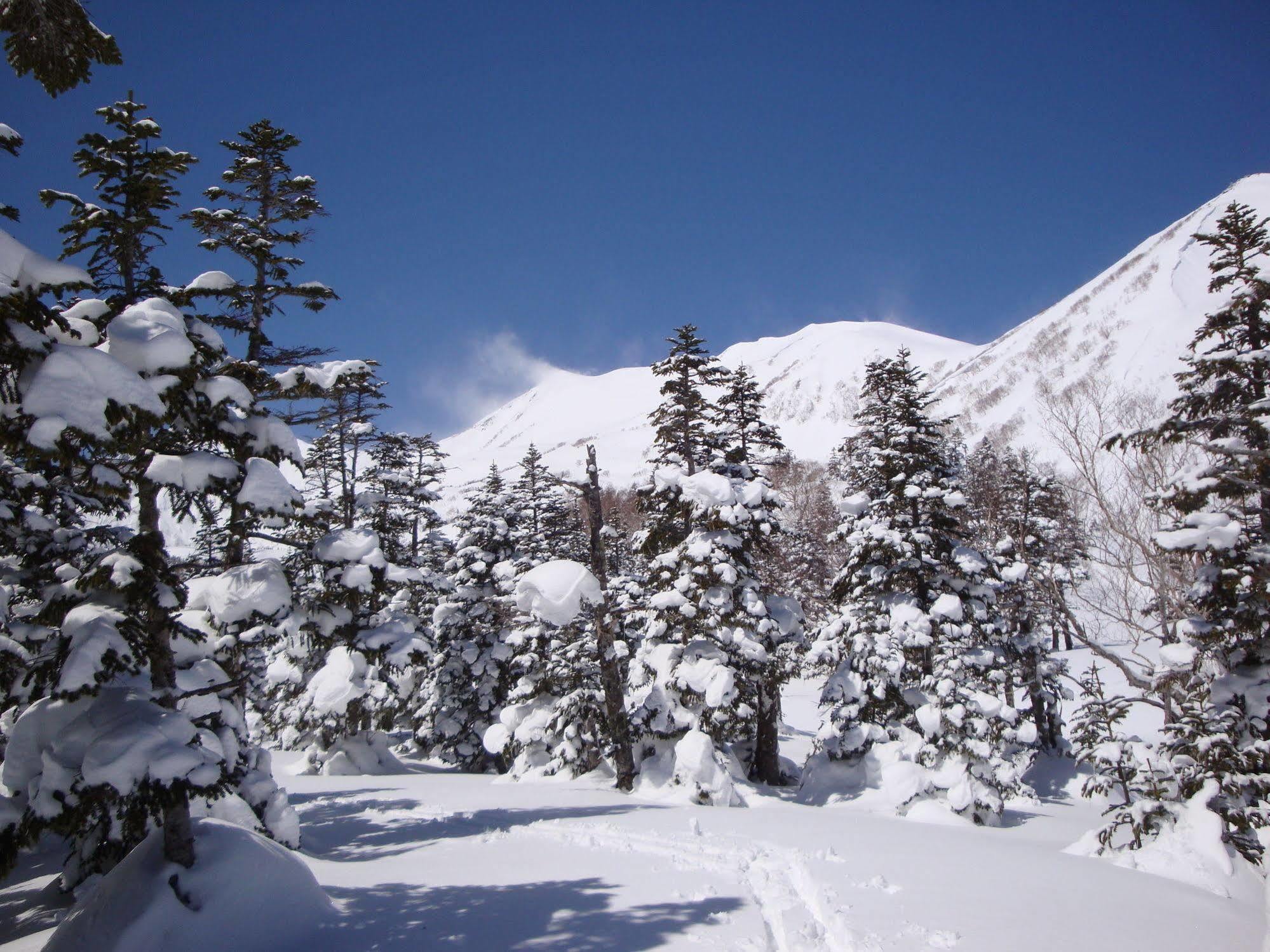 Hotel La Montagne Furuhata Hakuba Zewnętrze zdjęcie