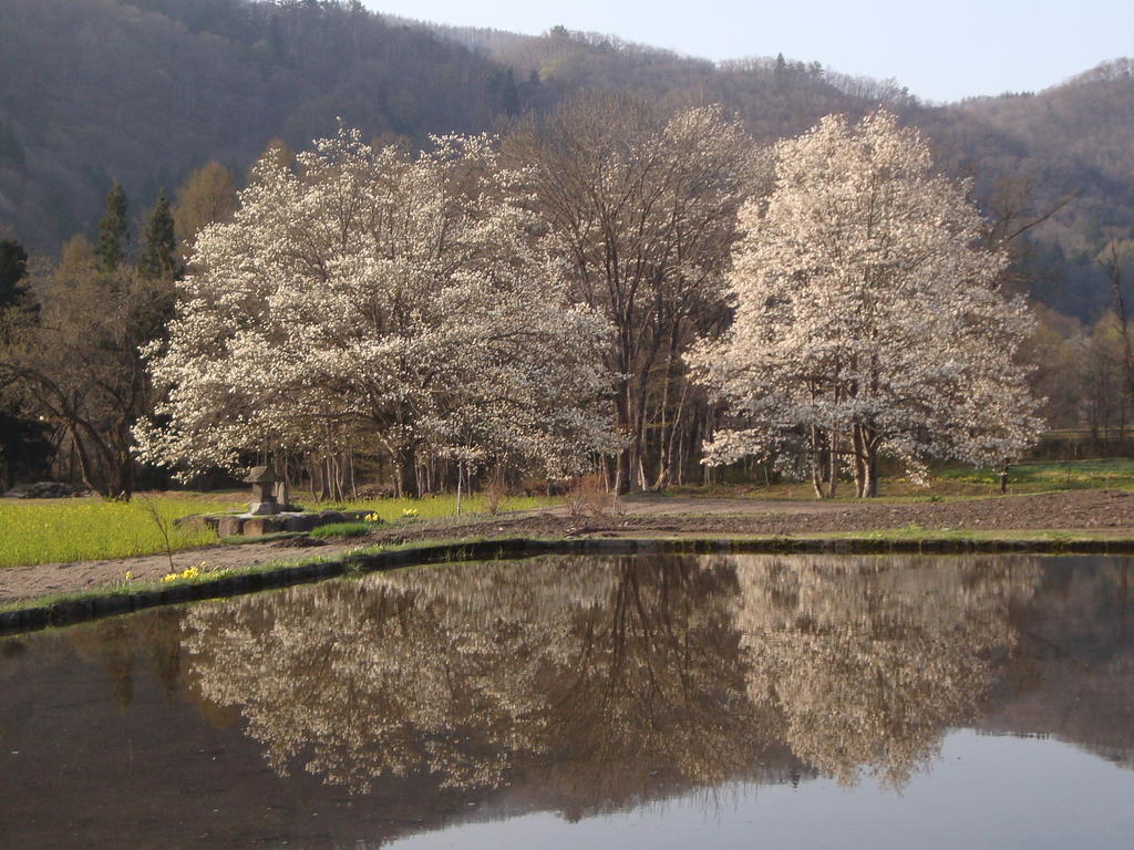 Hotel La Montagne Furuhata Hakuba Zewnętrze zdjęcie